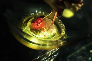 DSC00449_2400.webp
