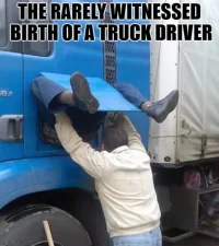 birth.webp
