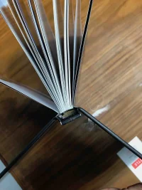 Spine.webp