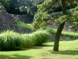edo08.webp