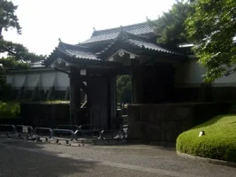 edo16.webp