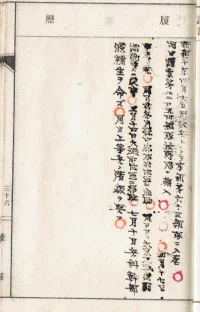 13.webp