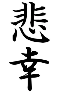 5.webp