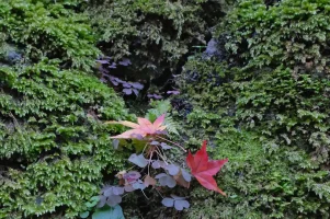 shot-A copy.webp