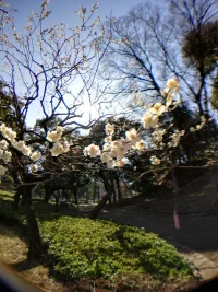 Kopiera IMG_20190302_134637.webp