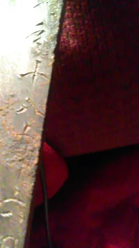 IMAG2738.webp
