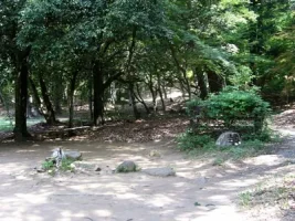 tsutsujigasaki10.webp