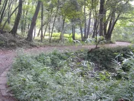 takiyama04.webp