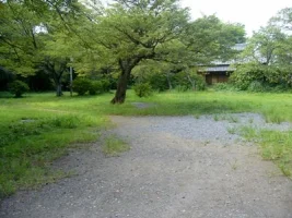 takiyama09.webp