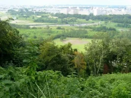 takiyama10.webp