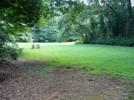 takiyama14.webp