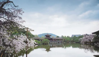 tenryuji.webp