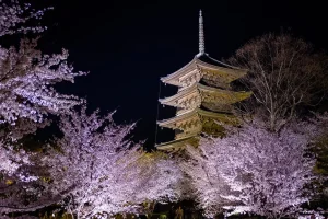 toji-temple.webp