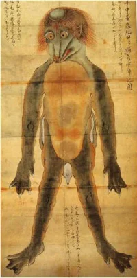 kappa03.webp