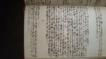 b6.webp