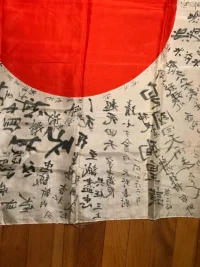 imagejpeg_0(29).webp