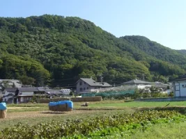 taguchi-castle01.webp