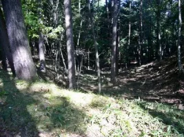taguchi-castle11.webp