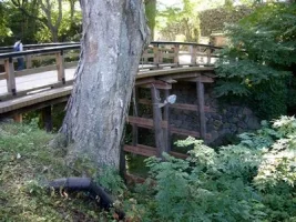 komoro09.webp