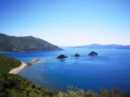amami-oshima-cover.webp