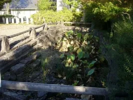 matsushiro03.webp