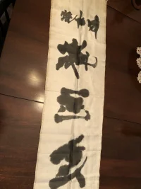 Silk band 7.webp