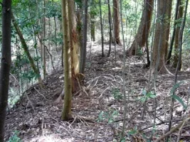 kakuto-castle06.webp