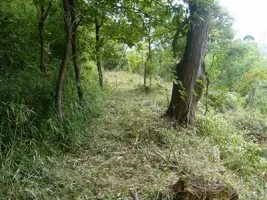 kakuto-castle09.webp