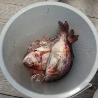 IMG_20200810_194809_721.webp