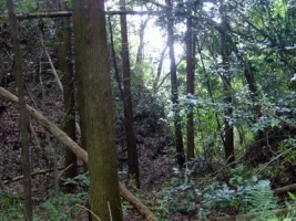 hitoyoshi-castle21.webp