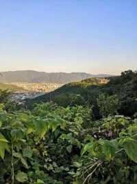 kyoto08092020-12.webp