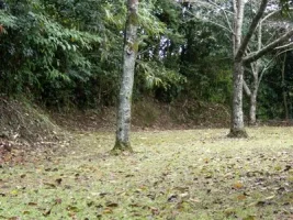 ichiuji06.webp