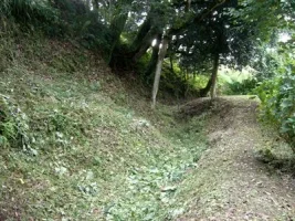 ichiuji10.webp