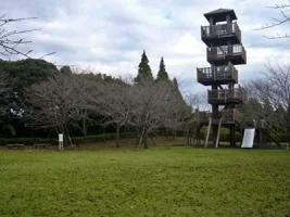 ichiuji11.webp