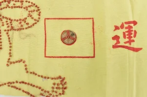 Belt With Tiger And Coins Closeup 2.webp