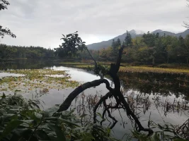 Hokkaido 2020: Shiretoko Peninsula