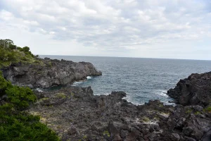 jogasaki11.webp