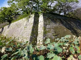 kagoshima-castle06.webp