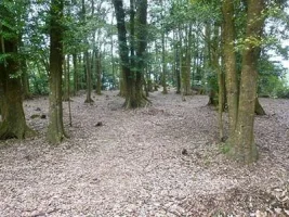 kiyoshiki-castle11.webp