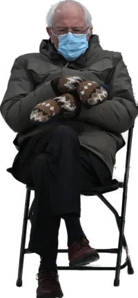 bernie_large.webp