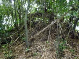 kano-castle11.webp