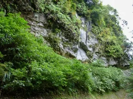 kano-castle12.webp
