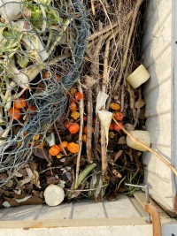 compost-2.webp
