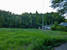 miyako-no-castle-10.webp