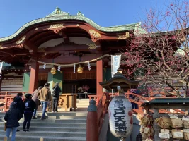 Kameido Tenjin Shrine Plum Blossoms
