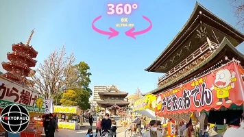 kawaskithumnb.webp