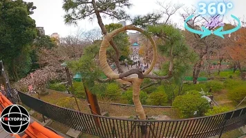 Kiyomizu Kannon-do Temple in Ueno Park (360 video)