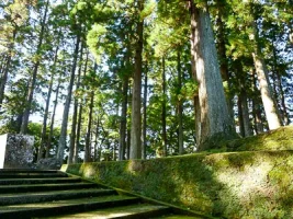 obi-castle-12.webp