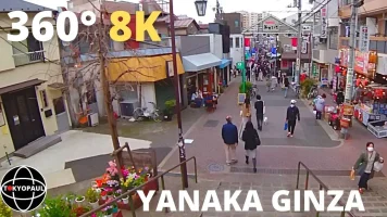 yanaka.webp