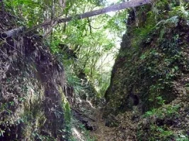 shibushi-castle-11.webp